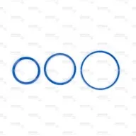 Spicer Axle REPAIR KITS / SUBASSEMBLIES Rear V Ring Kit S20KH113_SP buy