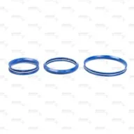 Spicer + Axle + REPAIR KITS / SUBASSEMBLIES + Rear V Ring Kit + S20KH113_SP + shop